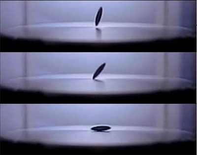 spheroid